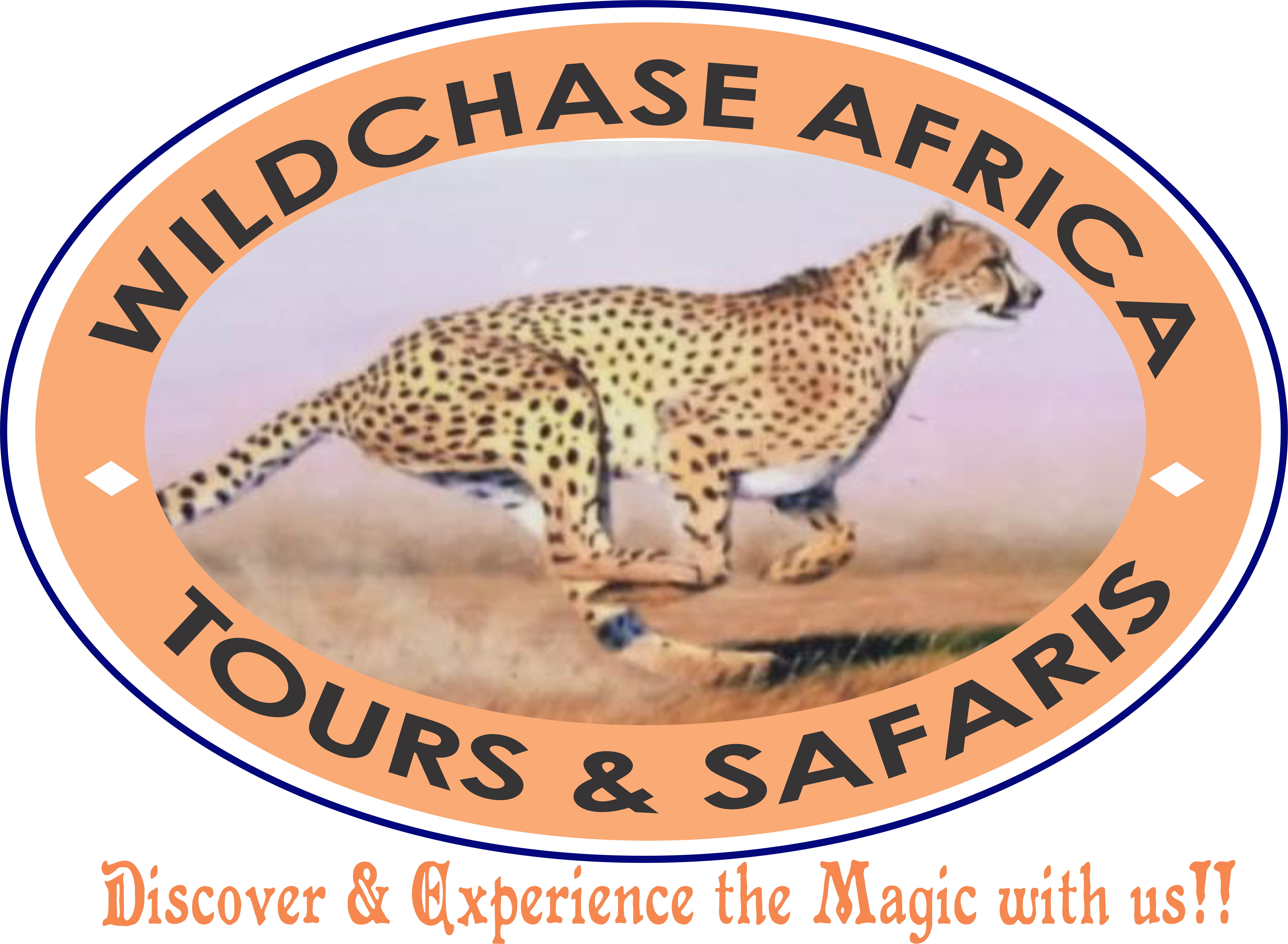 Wildchase Africa Tours & Travel